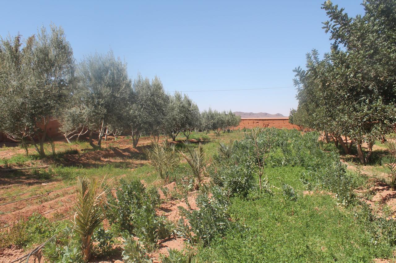 Dar Alfourssane Ferme D'Hote Ouarzazate Bagian luar foto