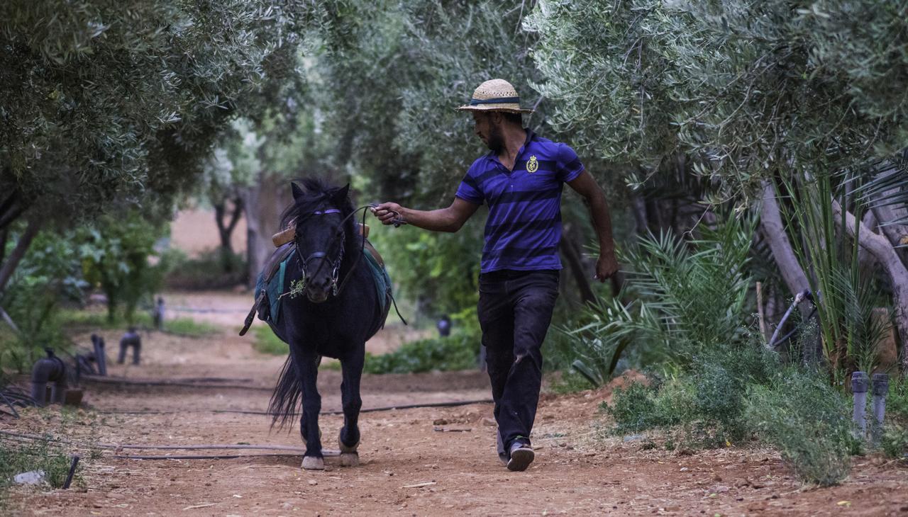 Dar Alfourssane Ferme D'Hote Ouarzazate Bagian luar foto