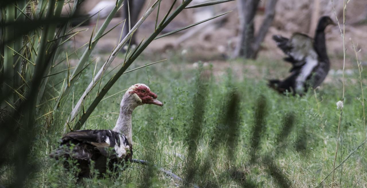Dar Alfourssane Ferme D'Hote Ouarzazate Bagian luar foto