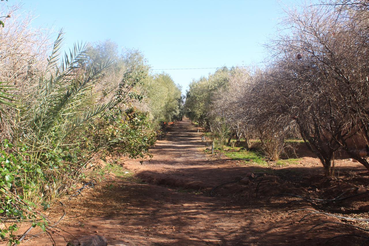 Dar Alfourssane Ferme D'Hote Ouarzazate Bagian luar foto